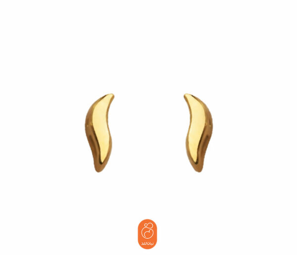 گوشواره براق ثمین